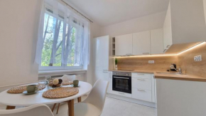 Finnem Rentals Průběžná Prague